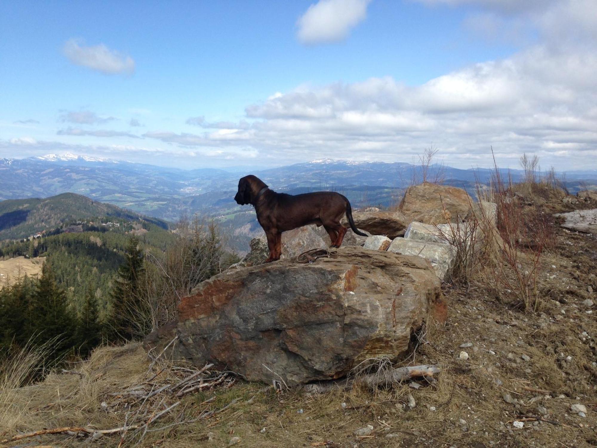 Feriendorf Koralpe Alpenrose Frantschach Luaran gambar